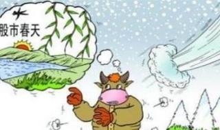 最新上证指数行情